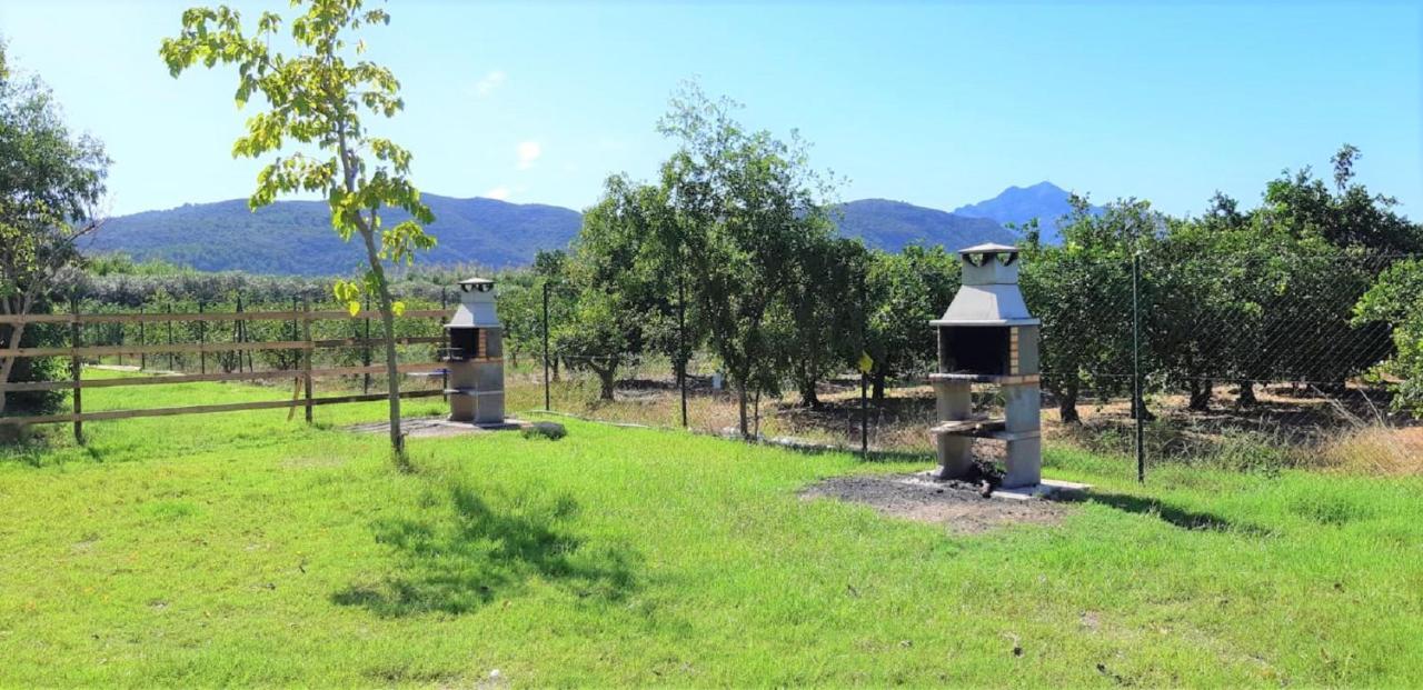Camping La Naranja Hotell Gandía Exteriör bild