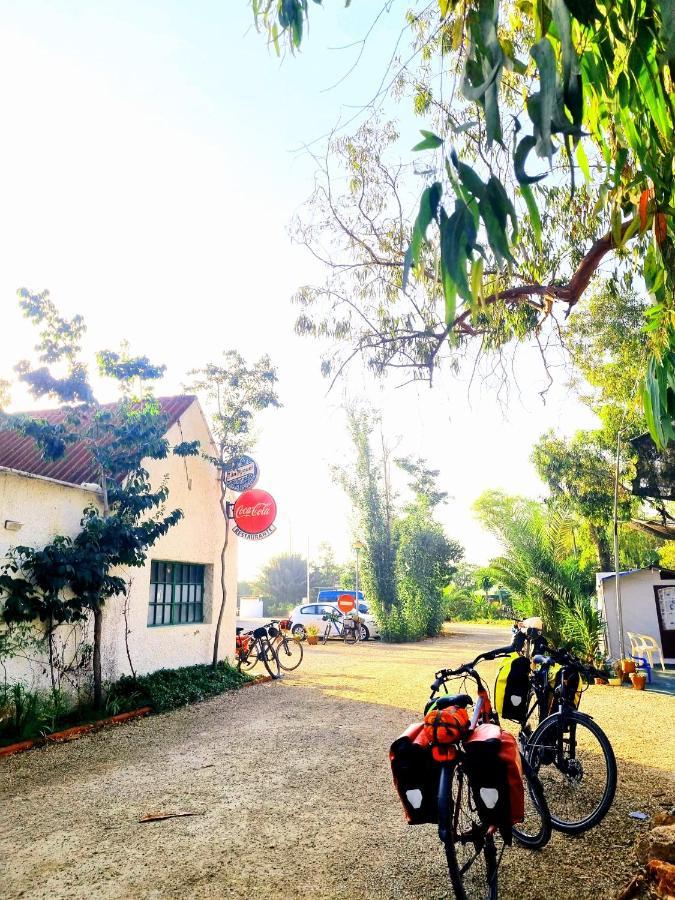Camping La Naranja Hotell Gandía Exteriör bild
