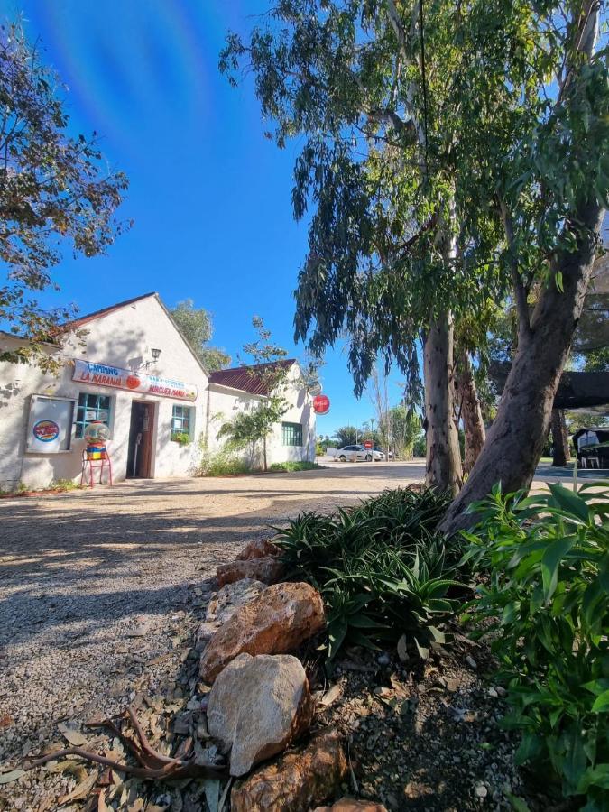 Camping La Naranja Hotell Gandía Exteriör bild