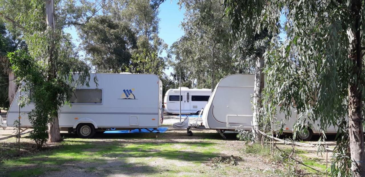 Camping La Naranja Hotell Gandía Exteriör bild