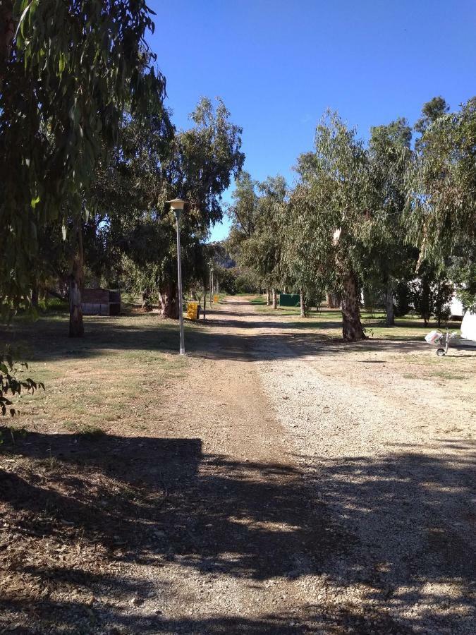 Camping La Naranja Hotell Gandía Exteriör bild