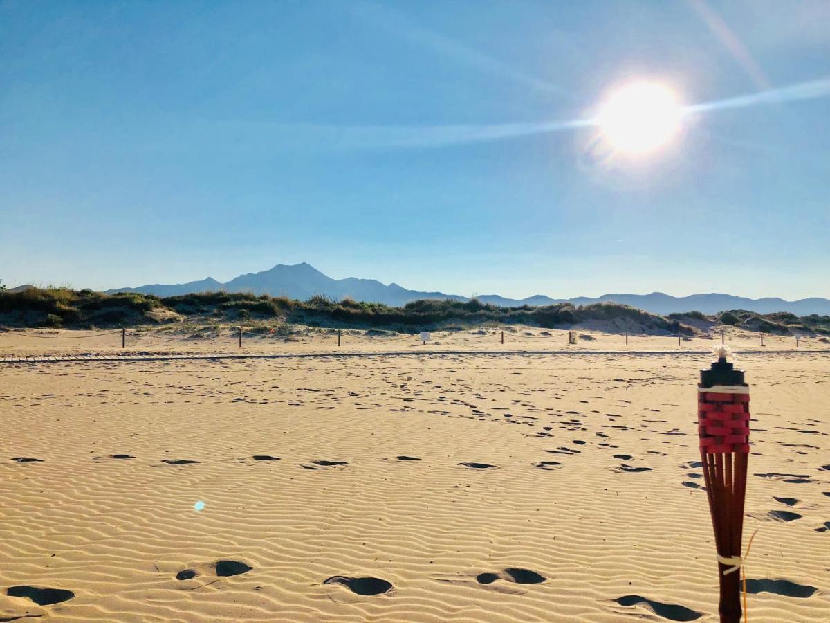 Camping La Naranja Hotell Gandía Exteriör bild