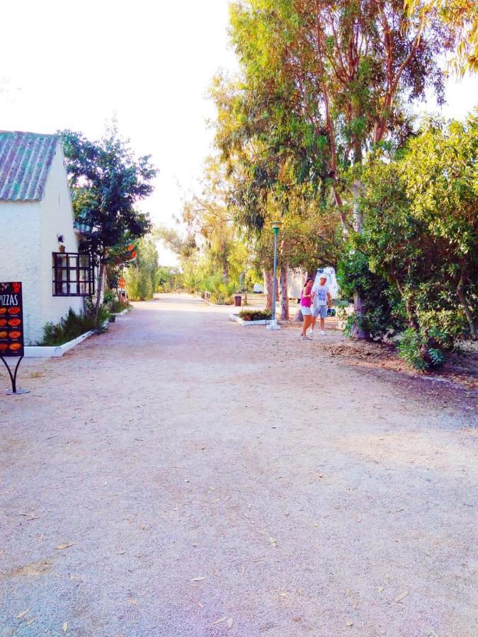 Camping La Naranja Hotell Gandía Exteriör bild