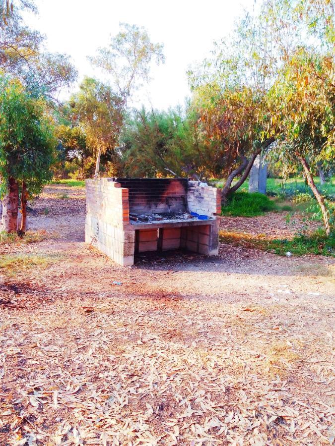Camping La Naranja Hotell Gandía Exteriör bild